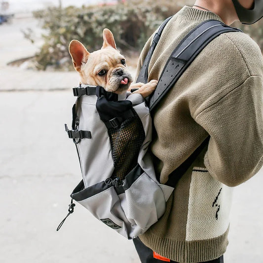 Outdoor Travel Puppy Medium Dog Backpack